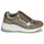 Sapatos Mulher Sapatilhas Xti 43124 Castanho / Bronze