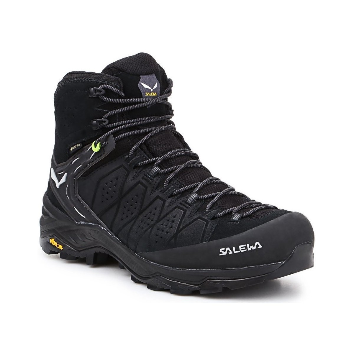 Sapatos Homem Sapatos de caminhada Salewa MS Alp Trainer 2 Mid GTX 61382-0971 Preto