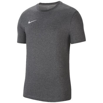 Textil Homem T-Shirt mangas curtas Nike Trainerendor Dri-Fit Park 20 Tee Cinza