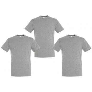 Textil T-Shirt mangas curtas Sols PACK 3 CAMISETAS GRISES COTTON Cinza