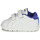 Sapatos Rapaz Sapatilhas Reebok Classic RBK ROYAL COMPLETE Branco / Azul