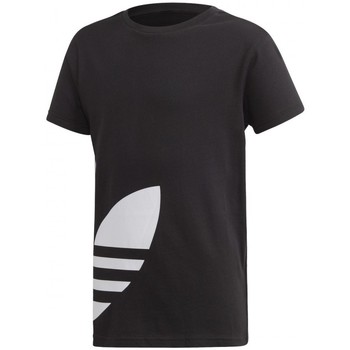 Textil Rapaz T-Shirt mangas car adidas Originals Big Trefoil Tee Preto