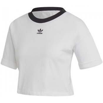Textil Mulher T-shirts e Pólos adidas wedge Originals Crop Top Branco