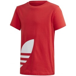 Textil Rapaz T-Shirt mangas curtas adidas Originals  Vermelho