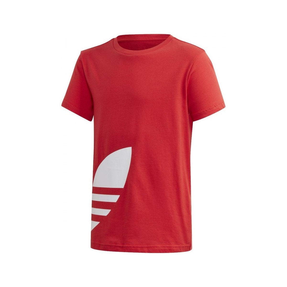 Textil Rapaz T-Shirt mangas curtas adidas Originals Big Trefoil Tee Vermelho