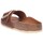Sapatos Mulher Chinelos BIRKENSTOCK  Castanho