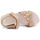 Sapatos Homem Sandálias Shone L6133-036 Nude Rosa