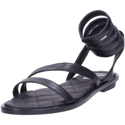 Hadel  Preto