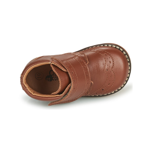 Citrouille et Compagnie PROYAL Camel