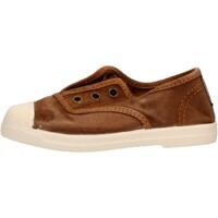 Sapatos Rapaz Sapatilhas Natural World - Scarpa elast marrone 470E-686 Castanho