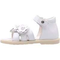 Sapatos Criança Sapatos aquáticos Falcotto - Sandalo bianco CLATTER-0N01 Branco