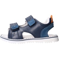 Sapatos Criança Sapatos aquáticos Balducci 1991001 Azul