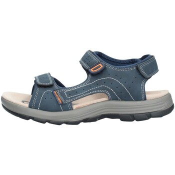 Sapatos Homem Sandálias Valleverde 54802 Azul