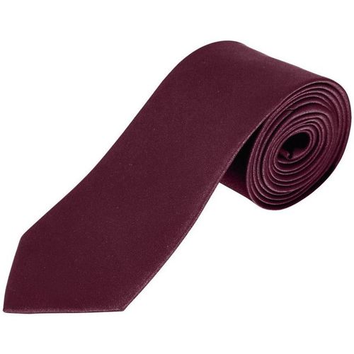 Textil Homem Fatos e gravatas Sols GARNER - CORBATA Bordô