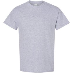 Textil Homem T-Shirt mangas curtas Gildan 5000 Cinza