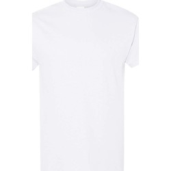 Textil Homem T-Shirt mangas curtas Gildan 5000 Branco