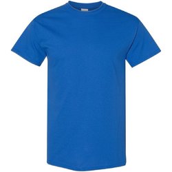 Textil Homem T-Shirt mangas curtas Gildan 5000 Azul