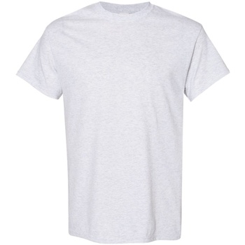Textil Homem T-Shirt mangas curtas Gildan 5000 Cinza