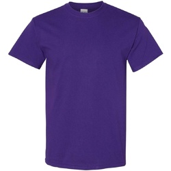 Textil Homem T-Shirt mangas curtas Gildan 5000 Violeta