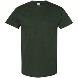 Textil Homem T-Shirt mangas curtas Gildan 5000 Verde