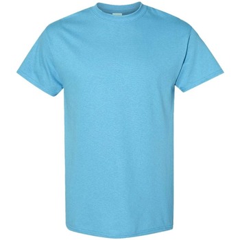 Textil Homem T-Shirt mangas curtas Gildan 5000 Azul