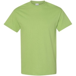 Textil Homem T-Shirt mangas curtas Gildan 5000 Verde