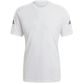 Textil Homem T-Shirt mangas curtas adidas Originals Squadra 21 Branco