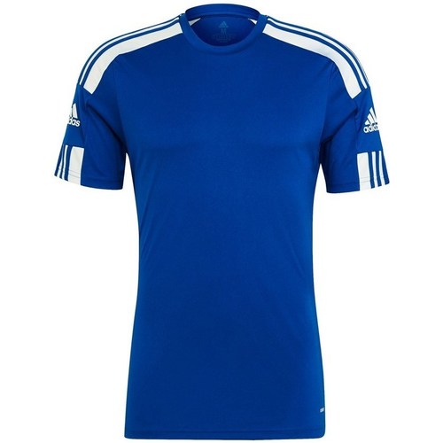 Textil Homem Mamalicious Weißes T-Shirt mit Schößchensaum adidas Originals Squadra 21 Azul