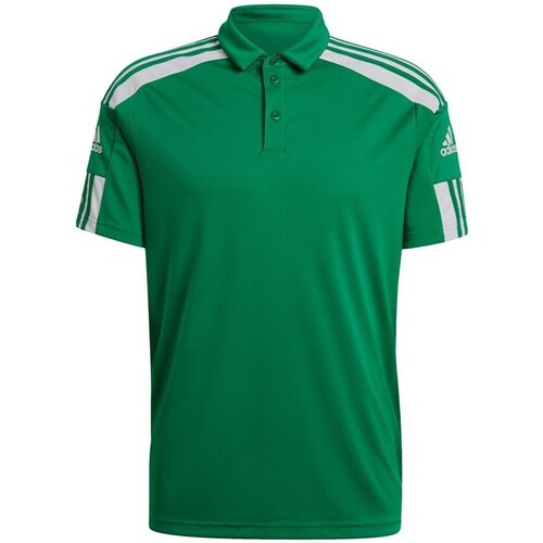 Textil Homem T-Shirt mangas curtas adidas Originals Squadra 21 Polo Verde
