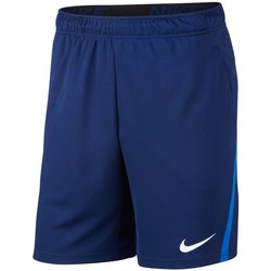 Textil Homem Calças curtas Nike Drifit Azul marinho
