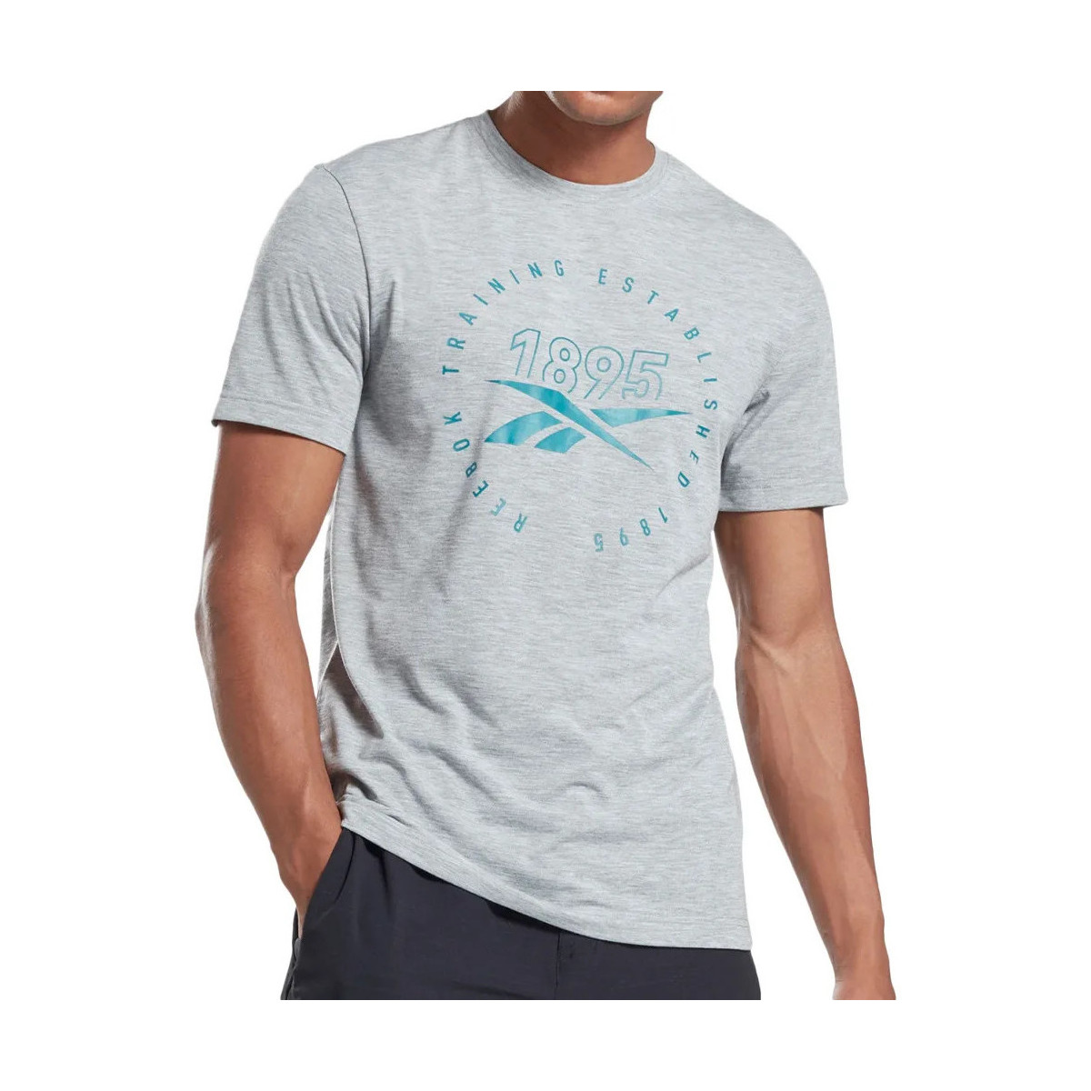 Textil Homem T-shirts e Pólos Reebok Sport  Cinza