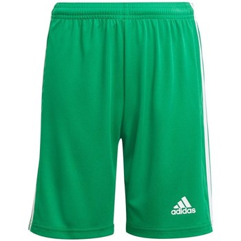 Textil Rapaz Calças curtas wide adidas Originals JR Squadra 21 Verde