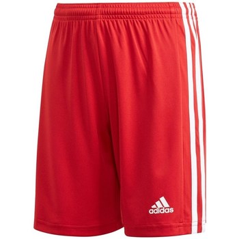 Textil Rapaz Calças curtas adidas Originals JR Squadra 21 Vermelho