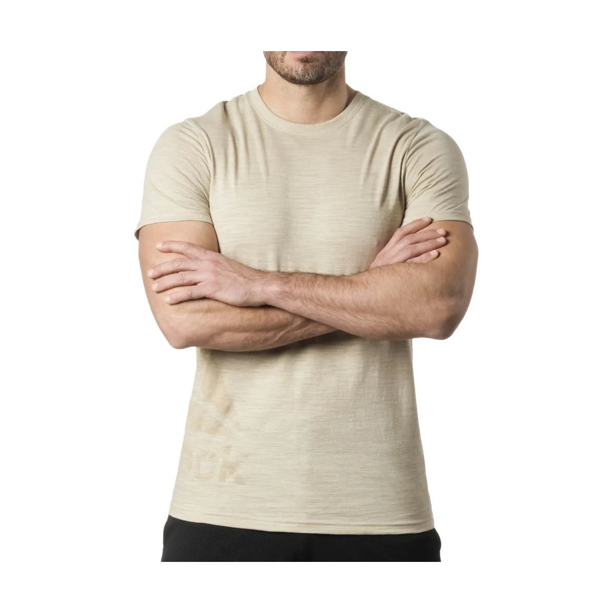 Textil Homem T-shirts e Pólos Reebok Sport  Bege