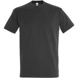 Textil Mulher T-Shirt mangas curtas Sols IMPERIAL camiseta color Gris Ratón Gris