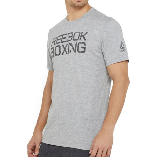 Textil Homem T-shirts e Pólos Reebok Spray Sport  Cinza