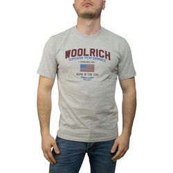 Textil Homem T-shirts e Pólos Woolrich W0TEE1158 Cinza