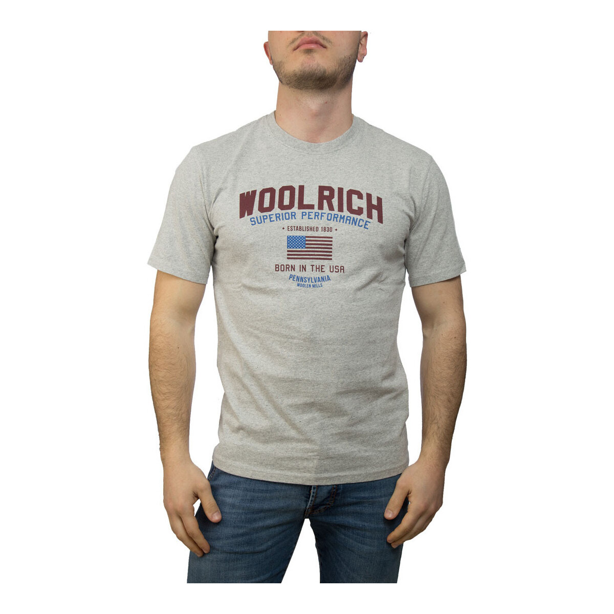 Textil Homem T-shirts precious e Pólos Woolrich W0TEE1158 Cinza