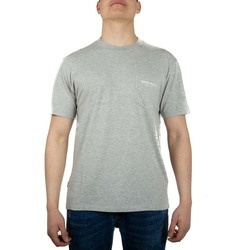Textil Homem T-shirts e Pólos Woolrich WOTE0037MR Cinza
