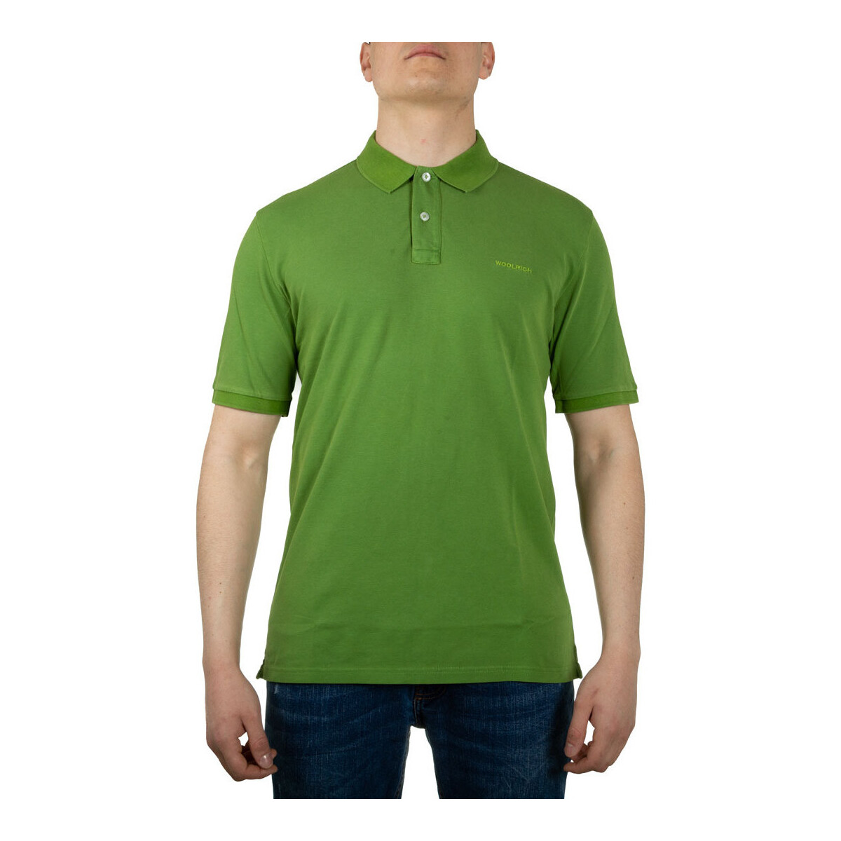 Textil Homem T-shirts e Pólos Woolrich WOPO0012MR Verde