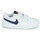 Sapatos Criança Sapatilhas Nike NIKE PICO 5 (TDV) Branco / Azul