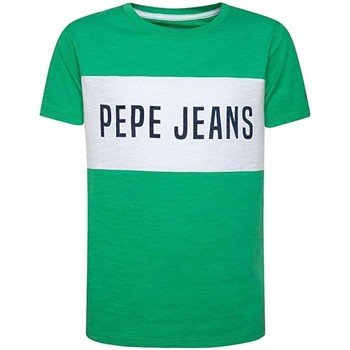 Textil Rapaz T-Shirt mangas curtas Pepe JEANS Fastbreak  Verde
