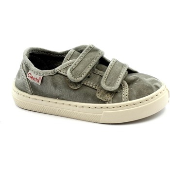 Sapatos Criança Sapatilhas Cienta CIE-CCC-83777-170-1 Cinza