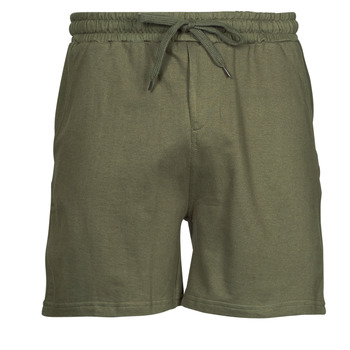 Textil Homem Shorts / Bermudas Yurban PAYTON Cáqui
