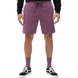 Textil Homem Shorts / Bermudas Dickies DK0A4XAYB651 Tolet