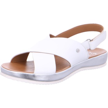 Sapatos Mulher Sandálias Ara 168256 Branco