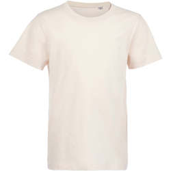 Textil Criança The North Face Standard Mens Hoodie Sols Camiseta de niño con cuello redondo Rosa