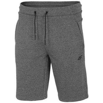 Textil Homem Shorts / Bermudas 4F SKMD014 Cinzento