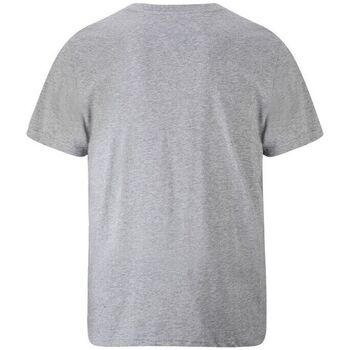 Ed Hardy Tiger glow t-shirt mid-grey Cinza