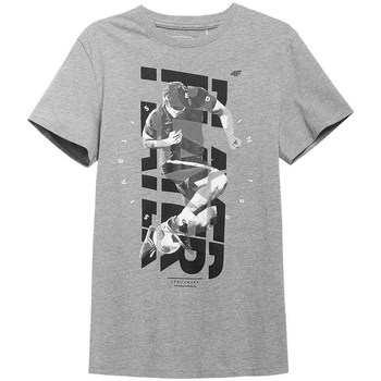 Textil Homem T-Shirt mangas curtas 4F H4L21 TSM011 Cinzento